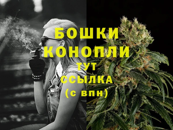 spice Горняк